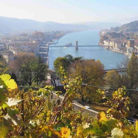 Appartement Vignes 2 Personnes Vienne  Exteriér fotografie